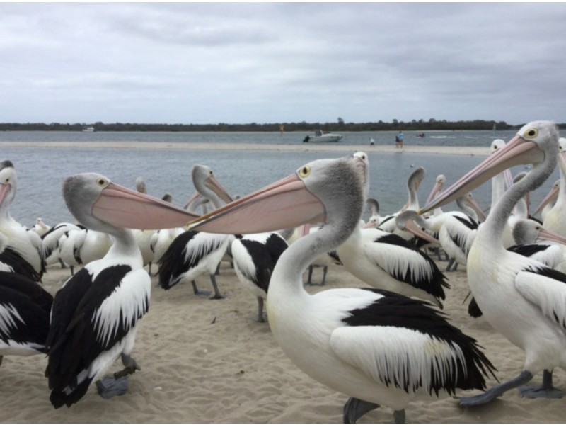 22/6 Rose Street, Southport QLD 4215