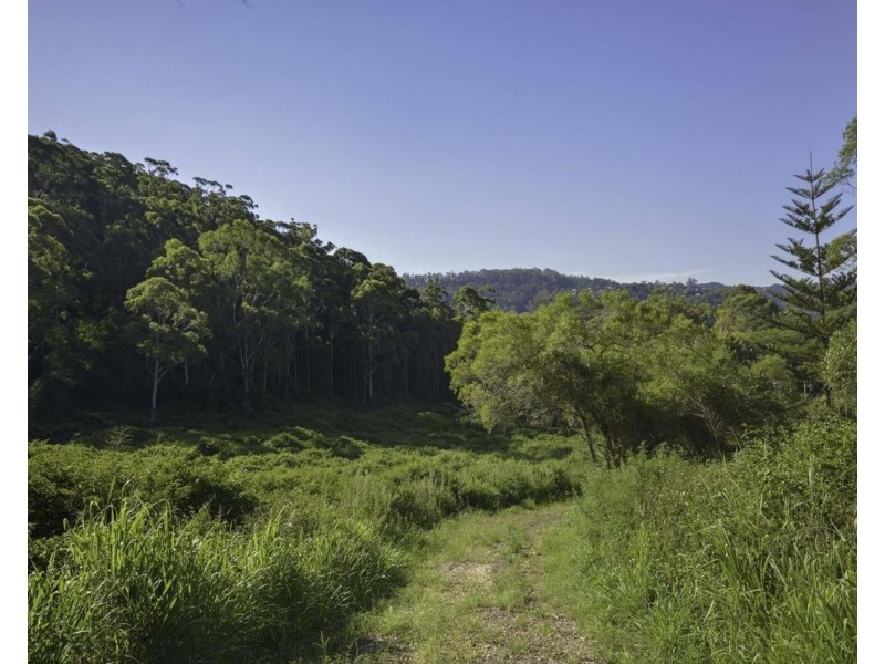 196-276 Kaiser Road, Tamborine Mountain QLD 4272