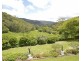 196-276 Kaiser Road, Tamborine Mountain QLD 4272