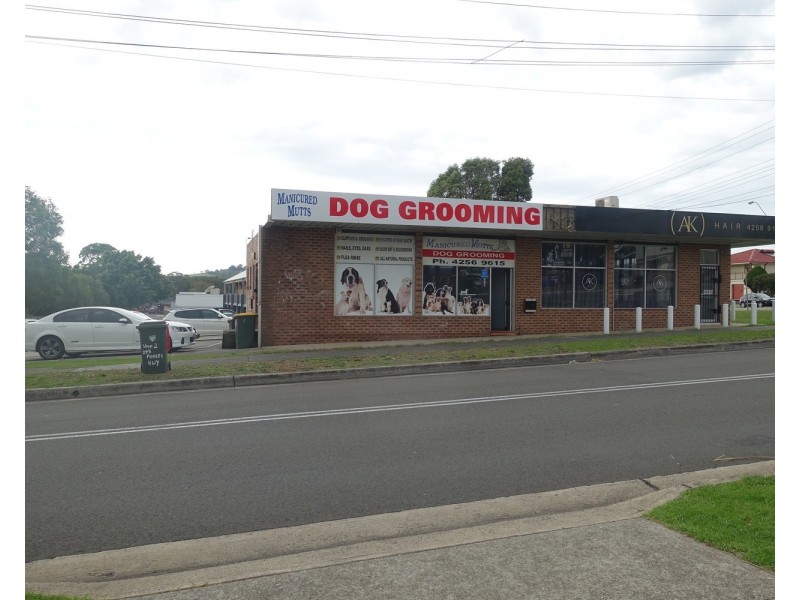 3/243 Princes Highway, Albion Park Rail NSW 2527