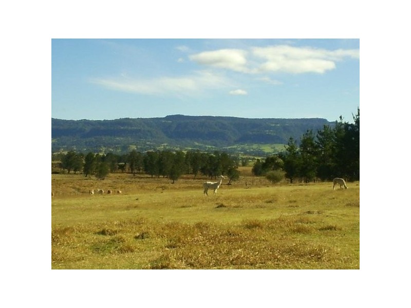 515 Backforest Road, Berry NSW 2535