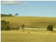 515 Backforest Road, Berry NSW 2535