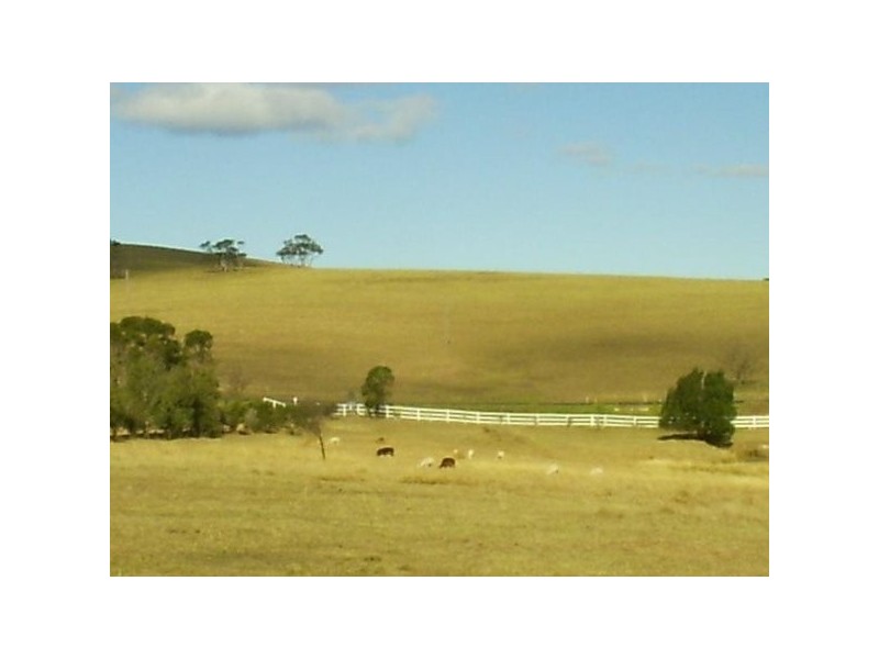 515 Backforest Road, Berry NSW 2535