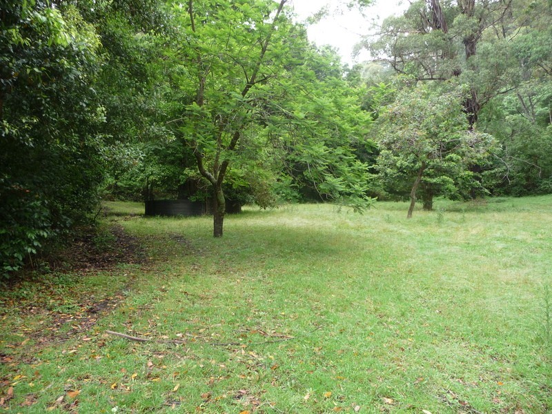 204 Stockyard Mountain Road, Yellow Rock NSW 2527