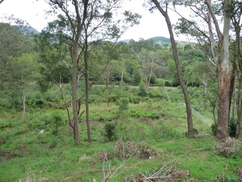 203b Cordeaux Road, Mount Kembla NSW 2526