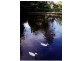 Lot 5 Berkeley Road, Unanderra NSW 2526
