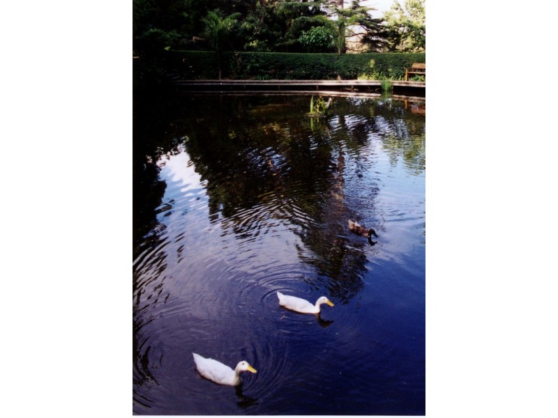Lot 5 Berkeley Road, Unanderra NSW 2526