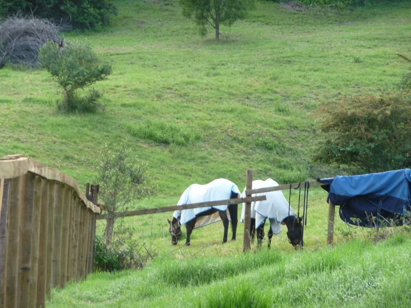 Lot 5 Berkeley Road, Unanderra NSW 2526