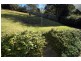 42 Risley Road, Figtree NSW 2525