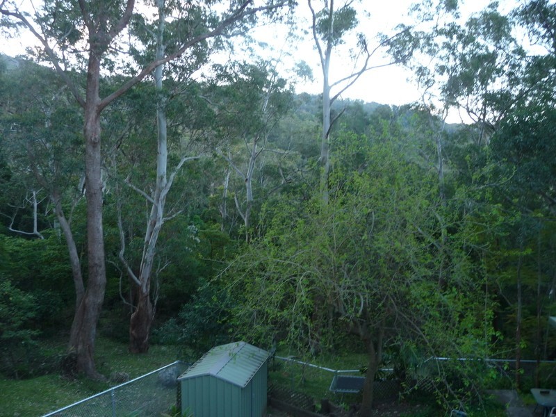 374 Cordeaux Road, Mount Kembla NSW 2526