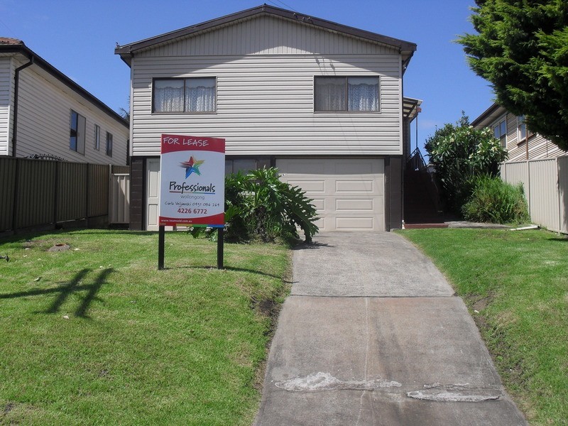 7 Fitzgerald Street, Cringila NSW 2502