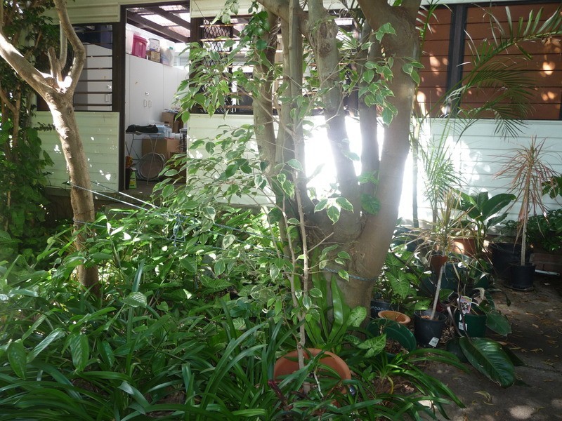 22 Pooraka Avenue, West Wollongong NSW 2500