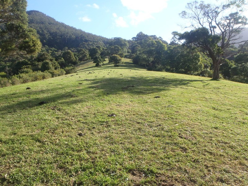 Lot 1 Araluen Avenue, Mount Kembla NSW 2526