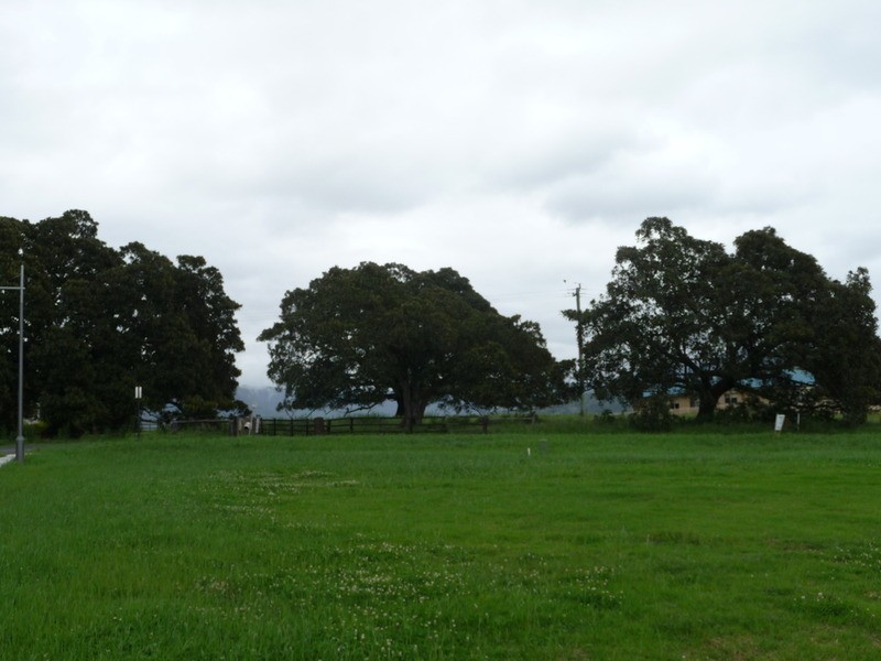 LOT/16 Wongawilli Street, Tullimbar NSW 2527