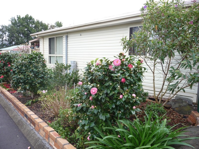 14 Willow Crescent, Kanahooka NSW 2530