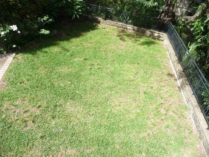 26 Camden Grove, Figtree NSW 2525