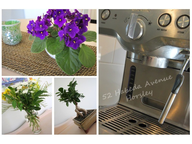 52a Habeda Avenue, Horsley NSW 2530