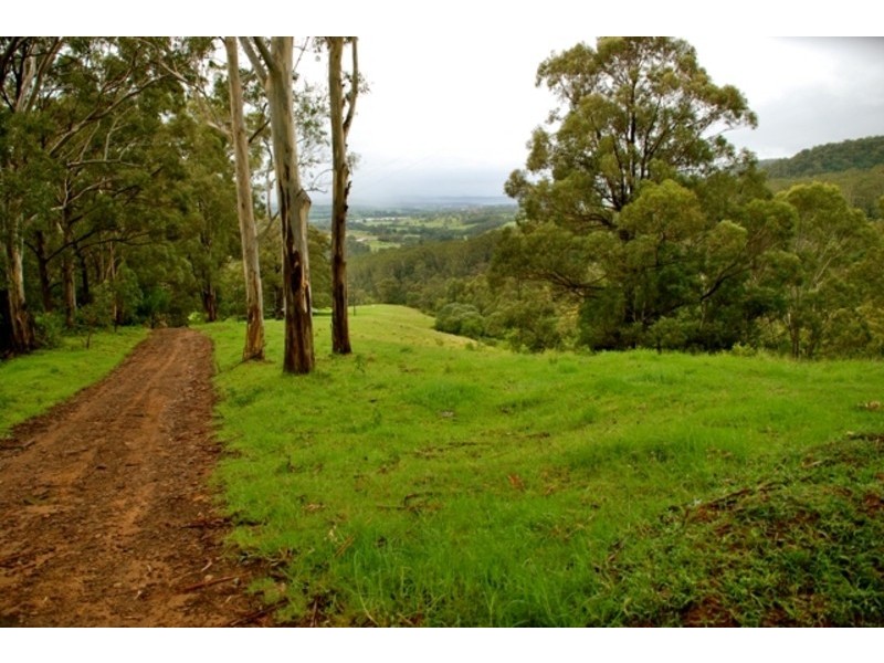 82-84 Old Cedar Track, Yellow Rock NSW 2527
