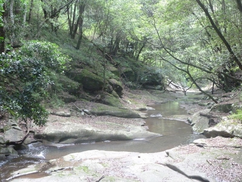 82-84 Old Cedar Track, Yellow Rock NSW 2527