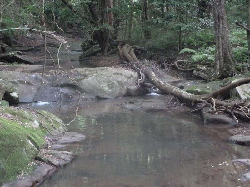 82-84 Old Cedar Track, Yellow Rock NSW 2527