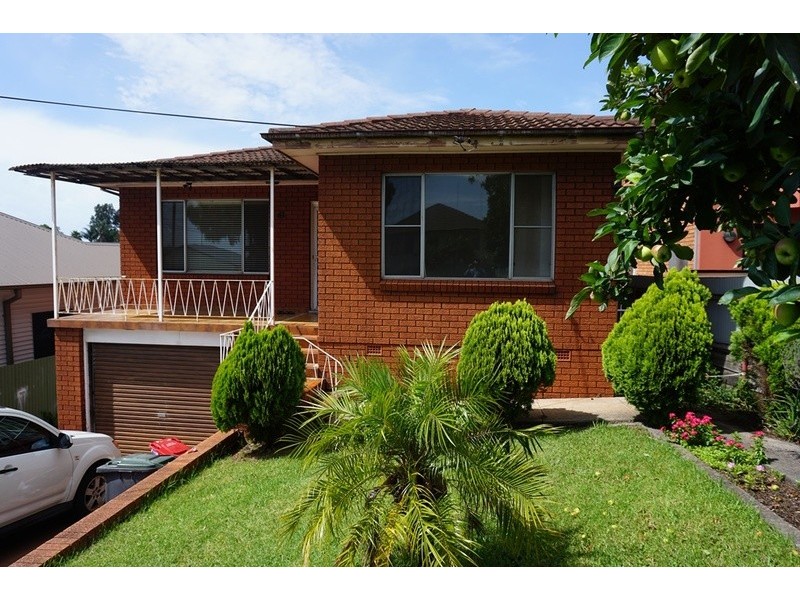41 Cringila Street, Cringila NSW 2502