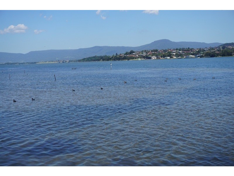 54 Lakeview Parade, Primbee NSW 2502