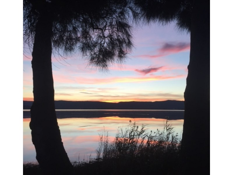 823/138 Windang Road, Windang NSW 2528