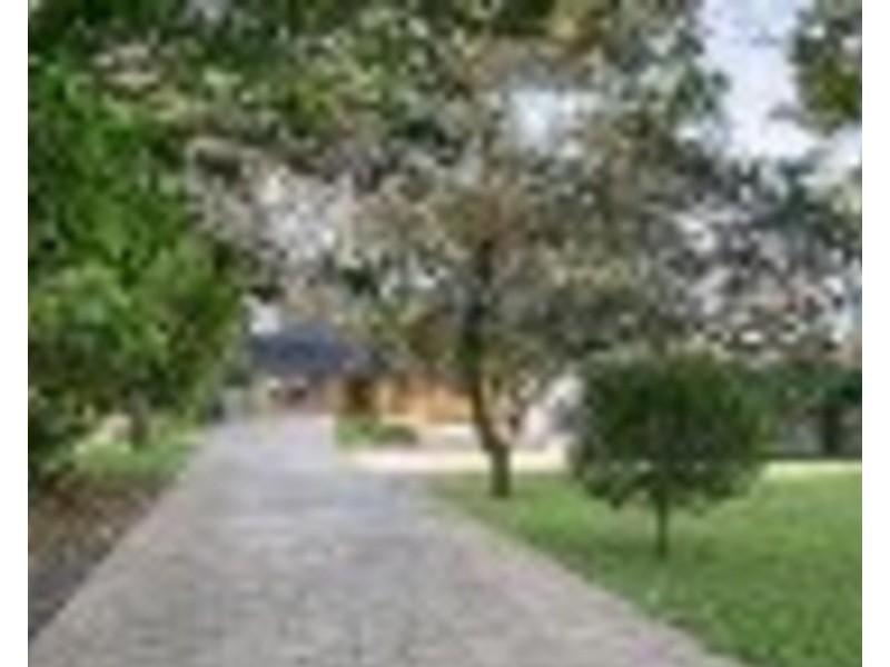 99 The Boulevard, Oak Flats NSW 2529