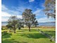 99 The Boulevard, Oak Flats NSW 2529