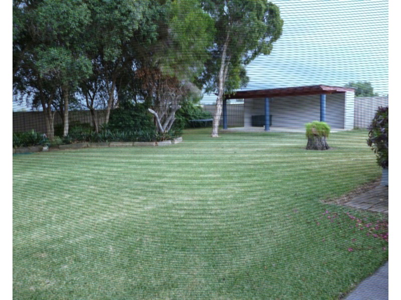 4367 Maitland Road, Singleton NSW 2330