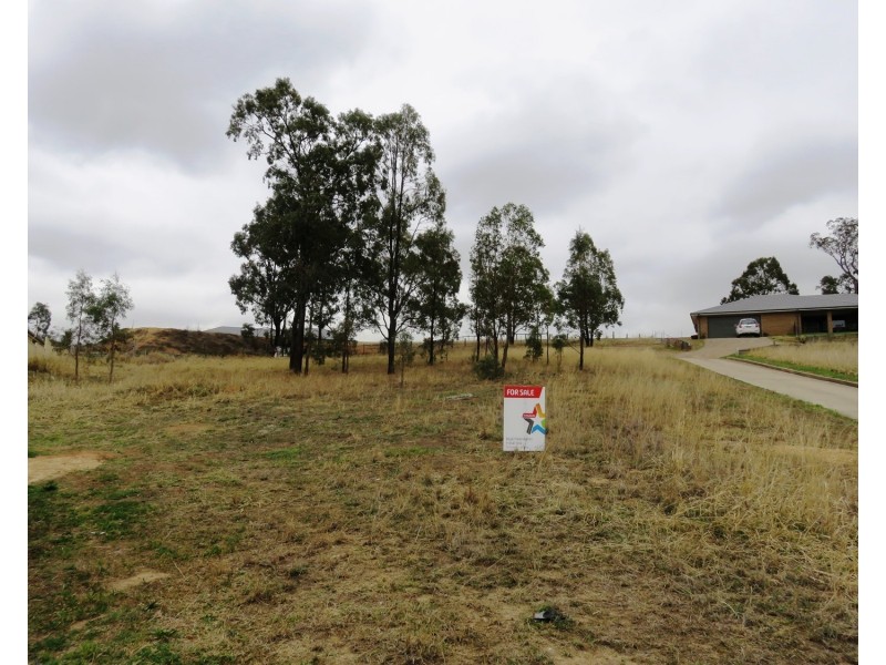 13 Lou Fisher Place, Muswellbrook NSW 2333