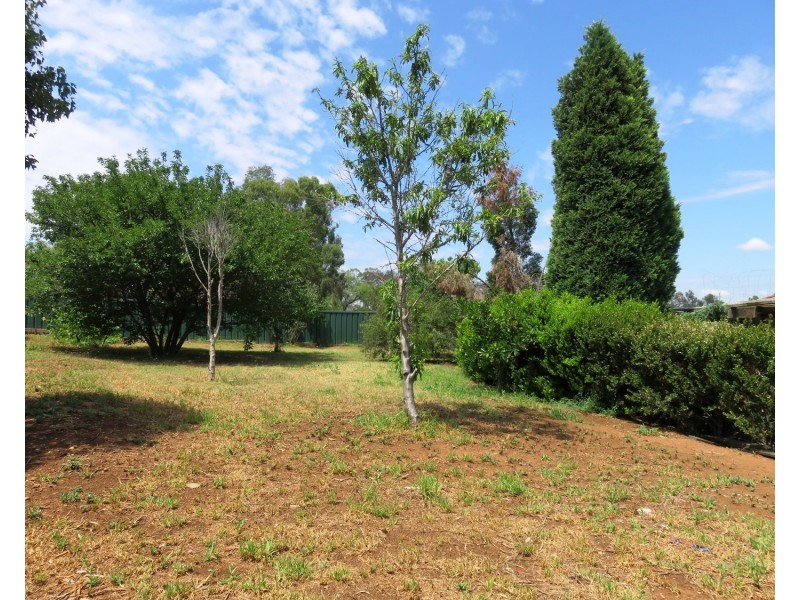 3 Dalwood Place, Muswellbrook NSW 2333
