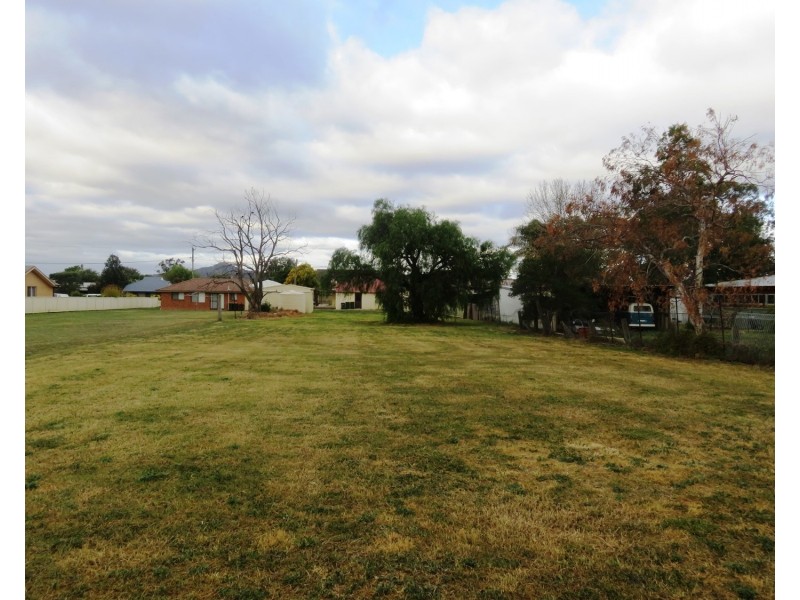 56 Paxton Street, Denman NSW 2328