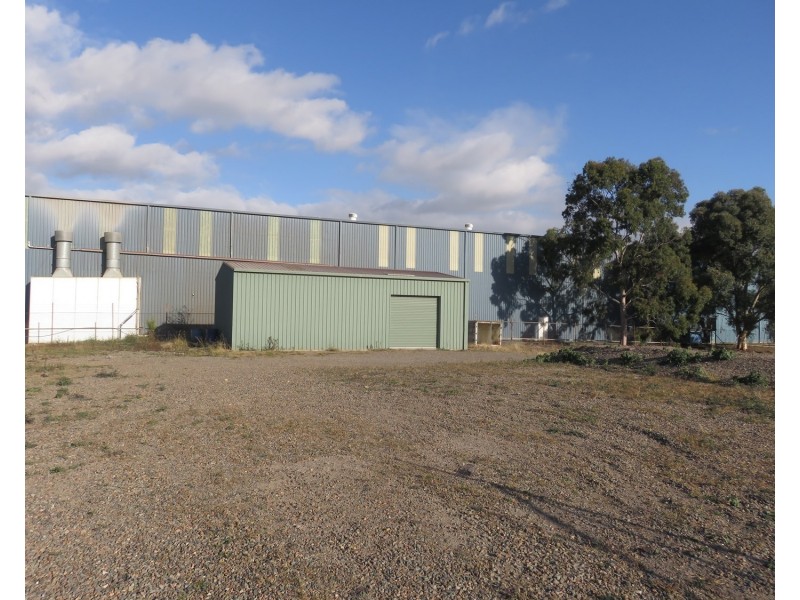 15 Thomas Mitchell Crescent, Muswellbrook NSW 2333