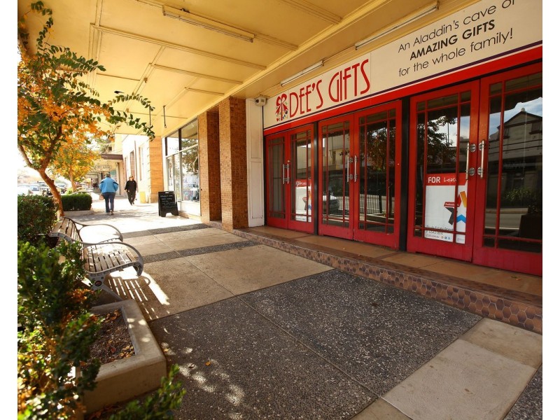 17 Bridge Street, Muswellbrook NSW 2333