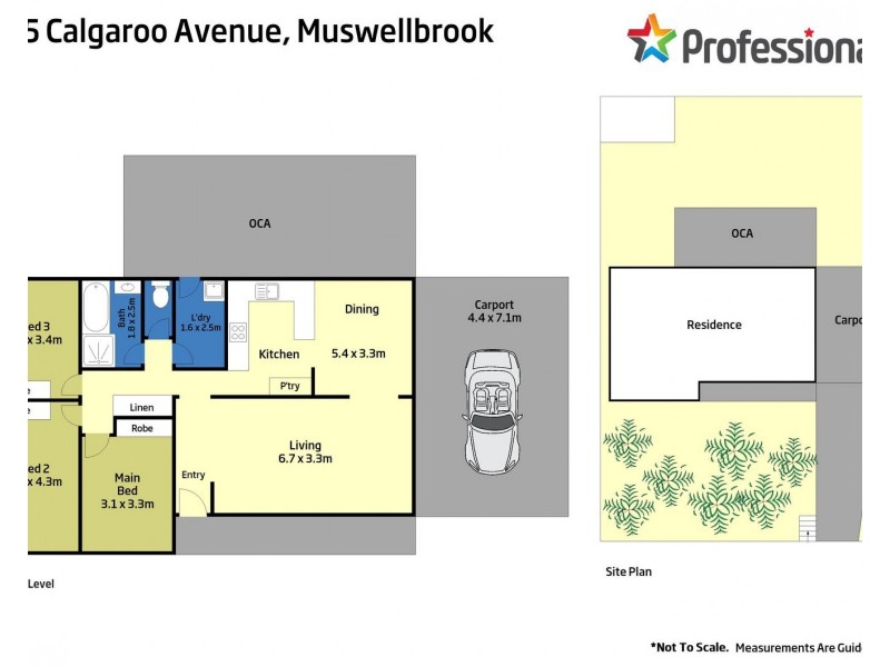 65 Calgaroo Avenue, Muswellbrook NSW 2333 Floorplan