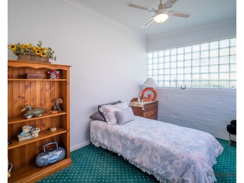 6 Percy Street, Singleton NSW 2330