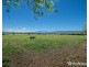 106 Moobi Road, Scone NSW 2337