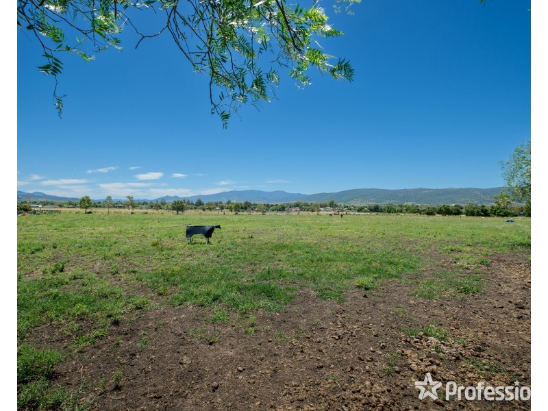 106 Moobi Road, Scone NSW 2337
