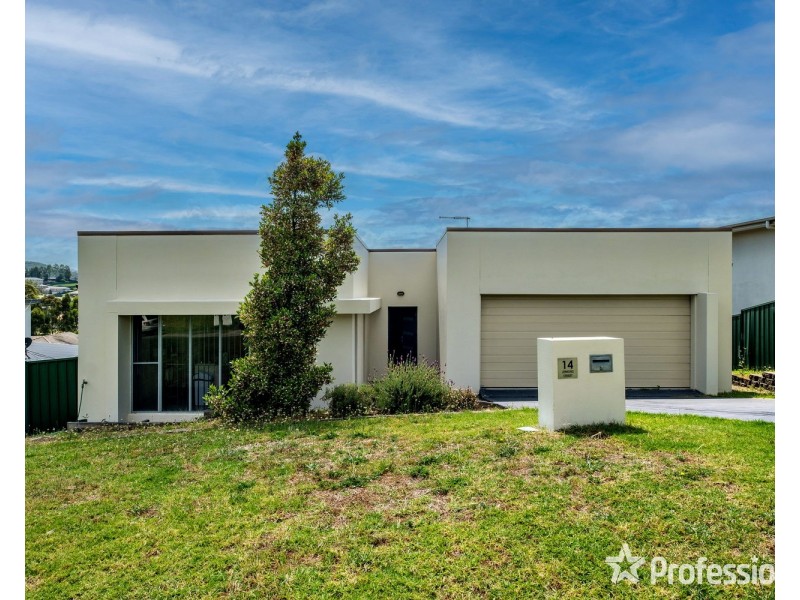 14 Jenkins Street, Muswellbrook NSW 2333