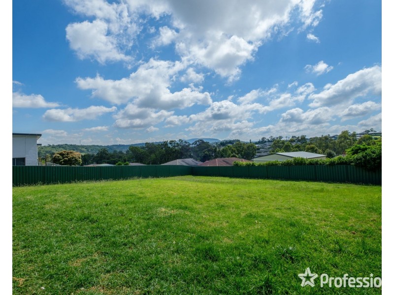 14 Jenkins Street, Muswellbrook NSW 2333