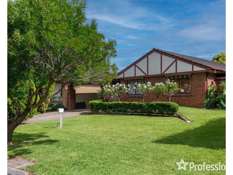 41 Shiraz Street, Muswellbrook NSW 2333