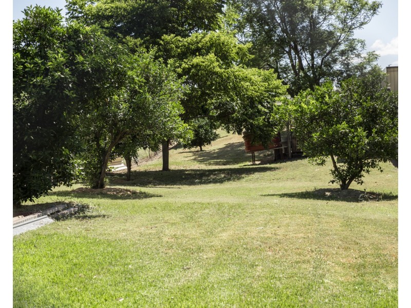 46 MacQueen Street, Aberdeen NSW 2336