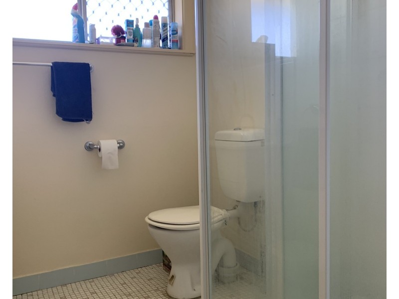 125 MacQueen Street, Aberdeen NSW 2336