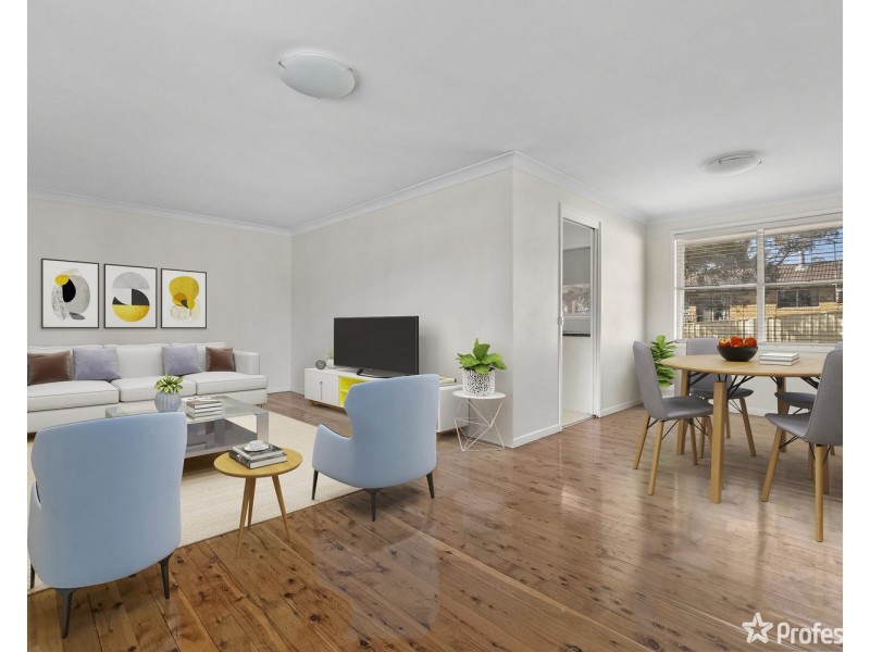 17 Peppermint Road, Muswellbrook NSW 2333