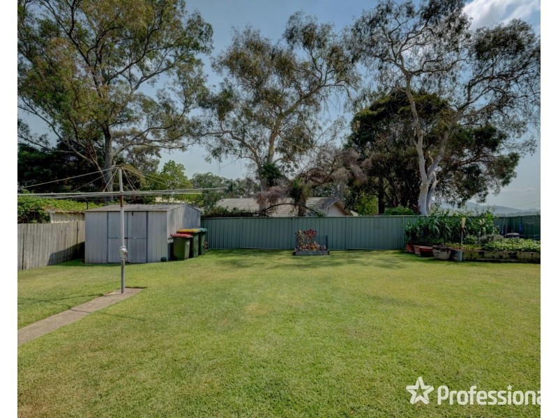 4 Cedar Close, Muswellbrook NSW 2333
