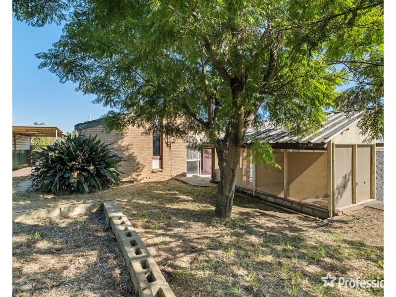 12 Wollombi Road, Muswellbrook NSW 2333