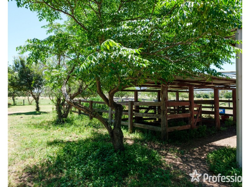 106 Moobi Road, Scone NSW 2337