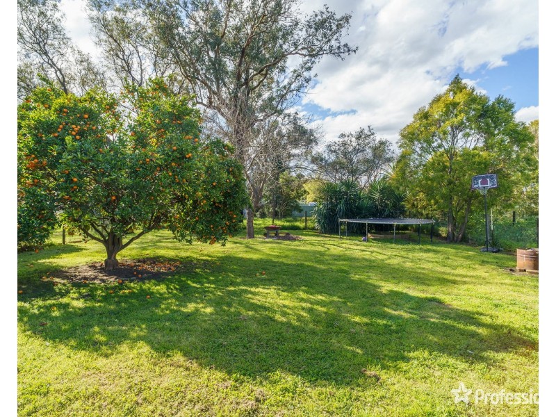 66 Lower Hill Street, Muswellbrook NSW 2333