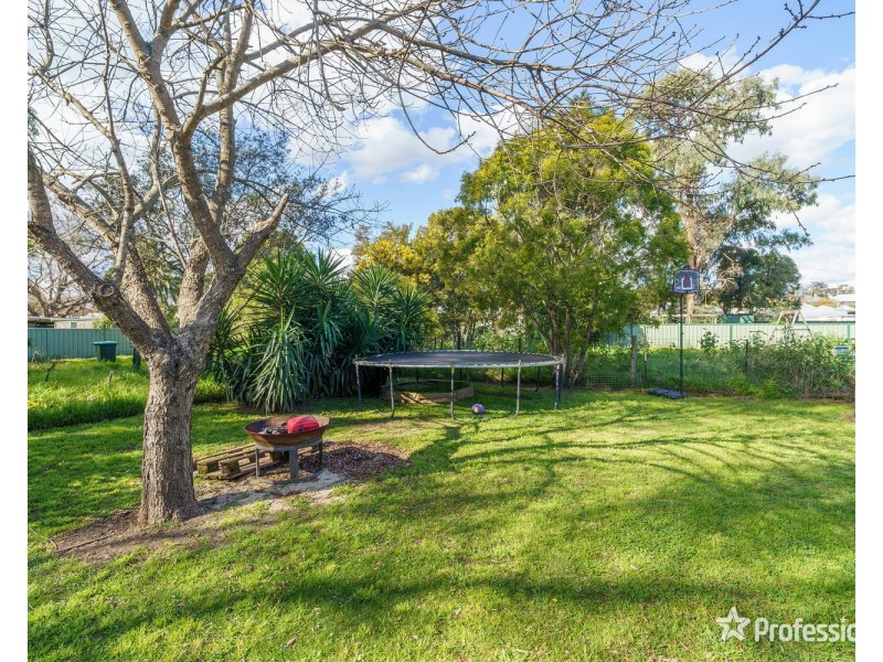 66 Lower Hill Street, Muswellbrook NSW 2333